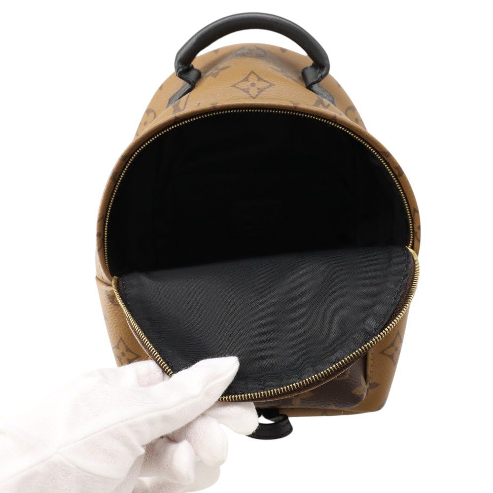 Louis Vuitton Backpack Monogram Reverse Palm Springs Mini Bag — view 5