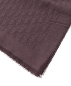 Dior Homme Shawl Scarf — view 2