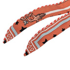 Hermes Tall Paris Station Scarf Orange Multicolor Silk — view 2
