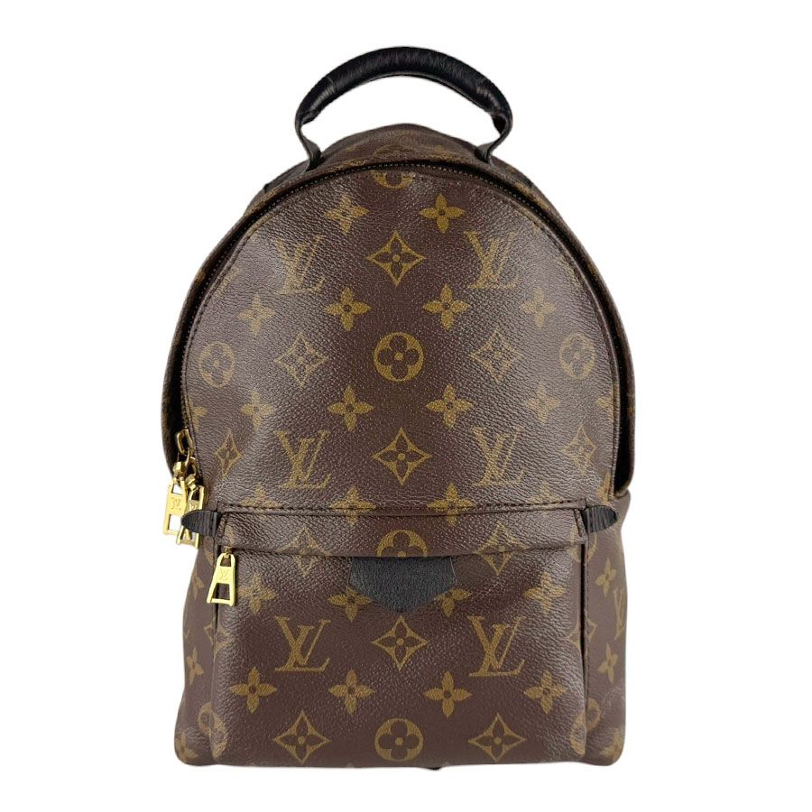 Louis Vuitton Palm Springs Backpack PM