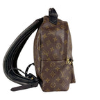 Louis Vuitton Palm Springs Backpack PM — view 2