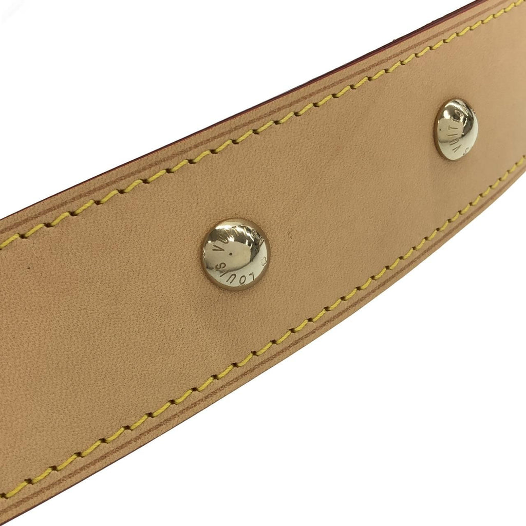 Louis Vuitton Monogram Denim Carrier Shoulder Bag — view 5