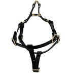 Gucci Pet Harness Black Interlocking Pet Accessory — view 3