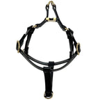 Gucci Pet Harness Black Interlocking Pet Accessory — view 5