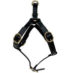 Gucci Pet Harness Black Interlocking Pet Accessory — view 4