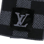Louis Vuitton Echarpe Damier Warm — view 4
