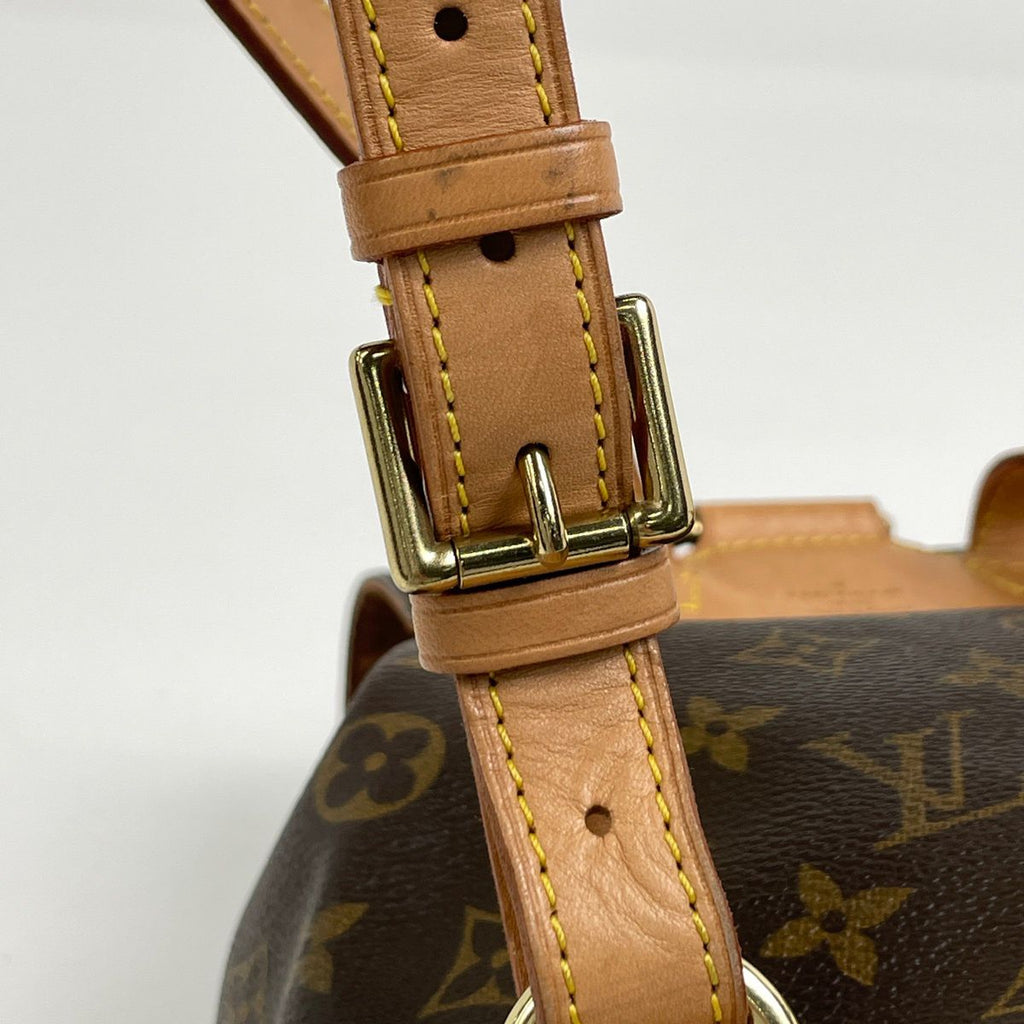 Louis Vuitton Montsouris MM Backpack Monogram Brown — view 5