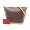 Louis Vuitton Shoulder Bag Amfar Three Vanity Star Canvas Leather