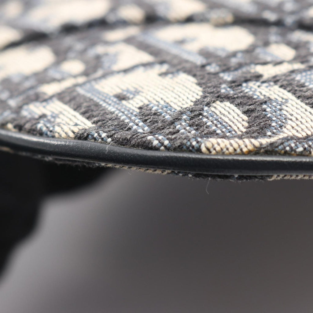 Dior Waist Bag Saddle Flat Belt Pouch Oblique Peacock Beige Black Canvas Leather — view 5