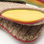 Dior Shoulder Bag Rasta Trotter Saddle Pocket Canvas Leather — view 6