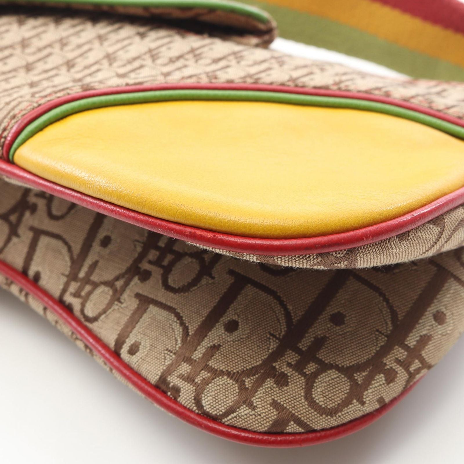 Dior Shoulder Bag Rasta Trotter Saddle Pocket Canvas Leather — view 6