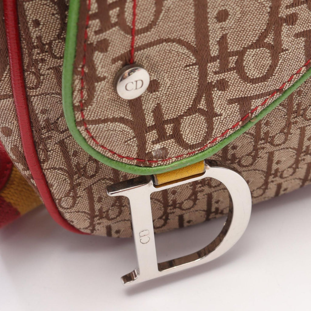 Dior Shoulder Bag Rasta Trotter Saddle Pocket Beige Multi Canvas Leather — view 6