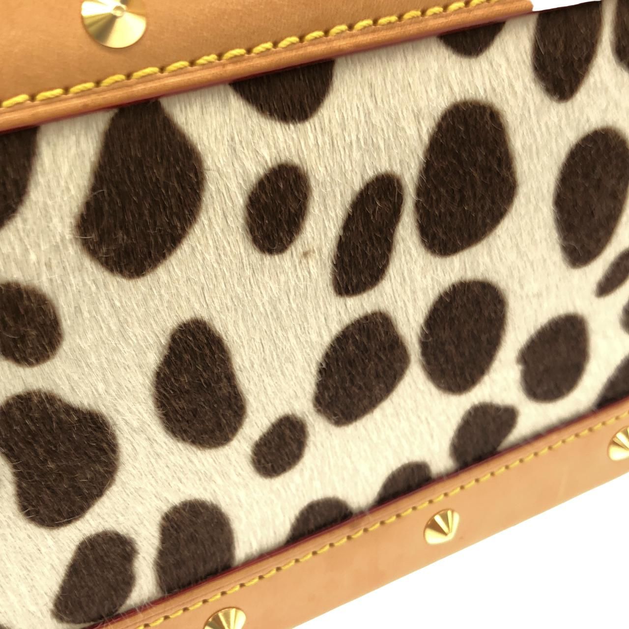 Louis Vuitton Monogram Dalmatian Sac Shoulder Bag — view 7