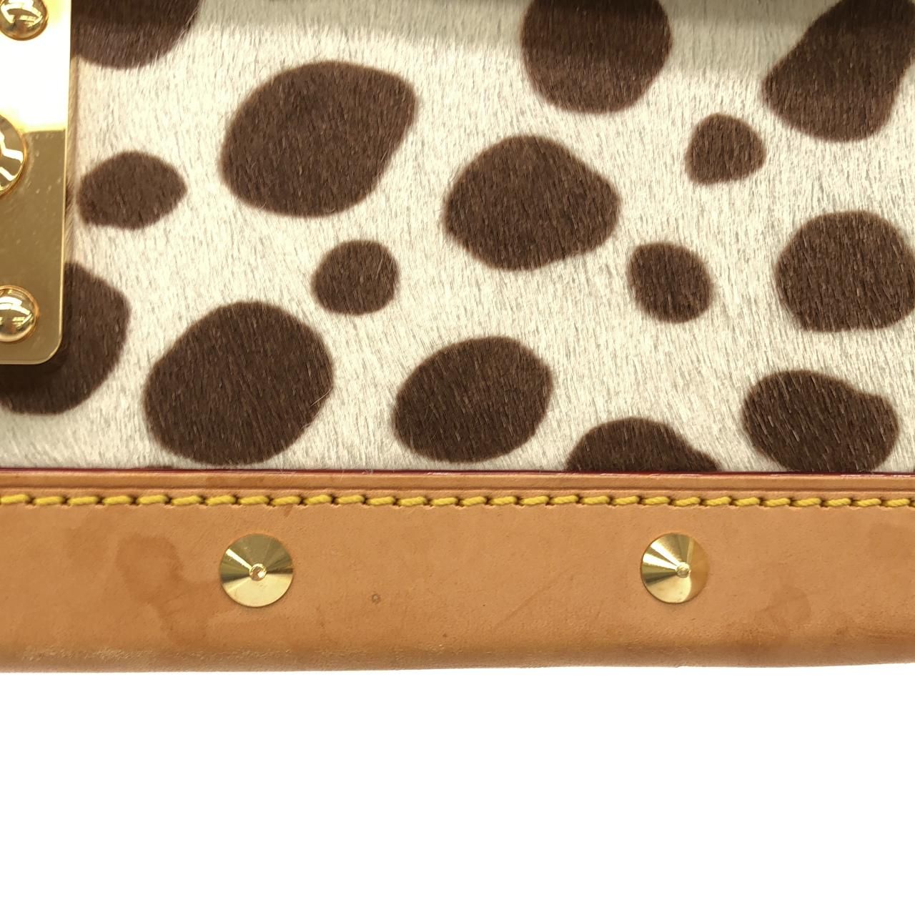 Louis Vuitton Monogram Dalmatian Sac Shoulder Bag — view 5