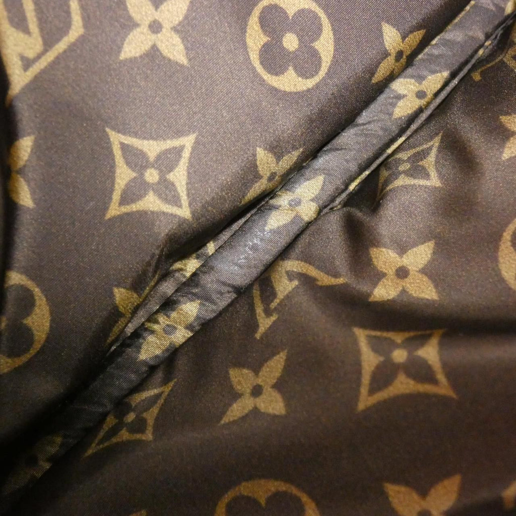 Louis Vuitton LV Pillow Maxi Multi Pochette Shoulder Bag — view 9