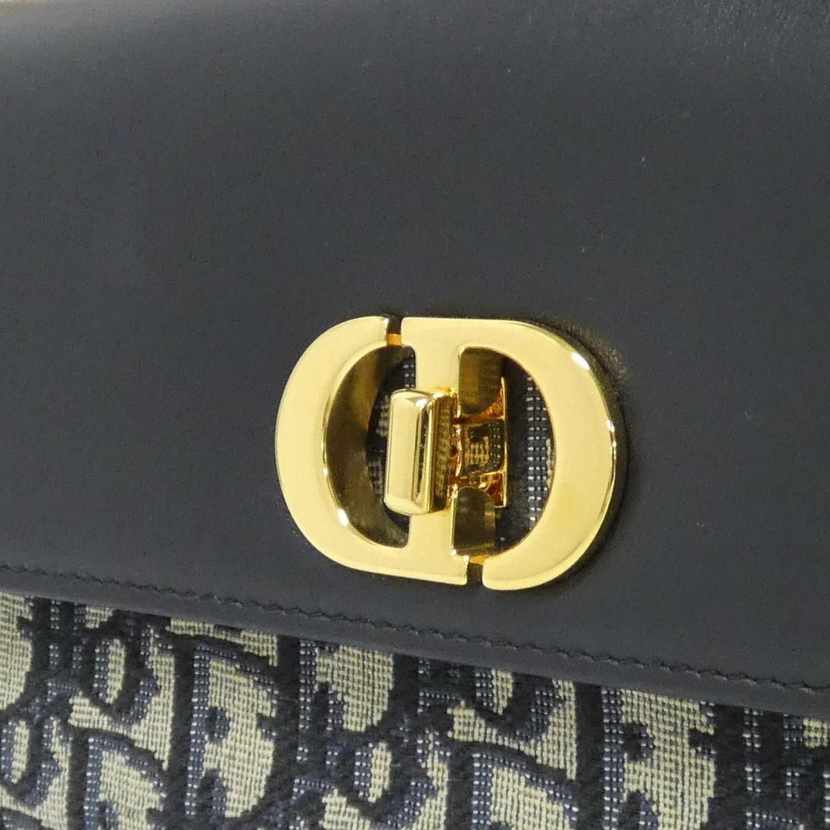 Dior Oblique 30 Montane Avenue East Waist Bag — view 4