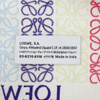 Loewe Anagram Multicolor Scarf Shawl — view 2