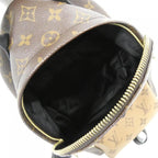 Louis Vuitton Monogram Reverse Palm Springs Backpack PM — view 7