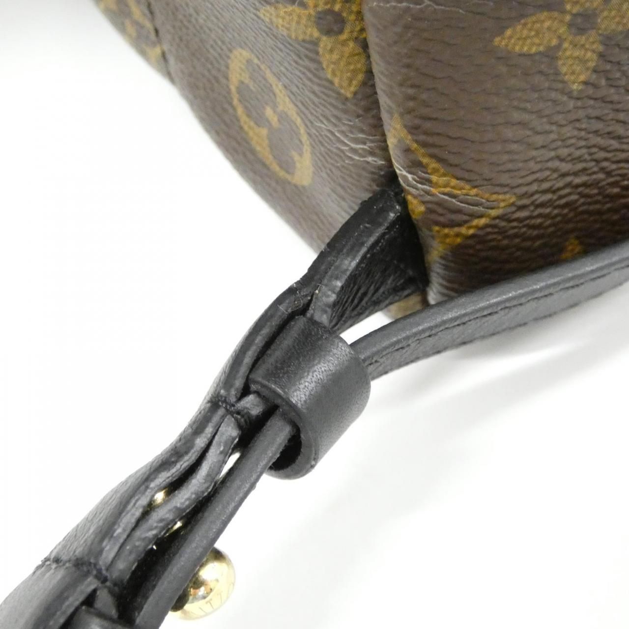 Louis Vuitton Monogram Reverse Palm Springs Backpack PM — view 6