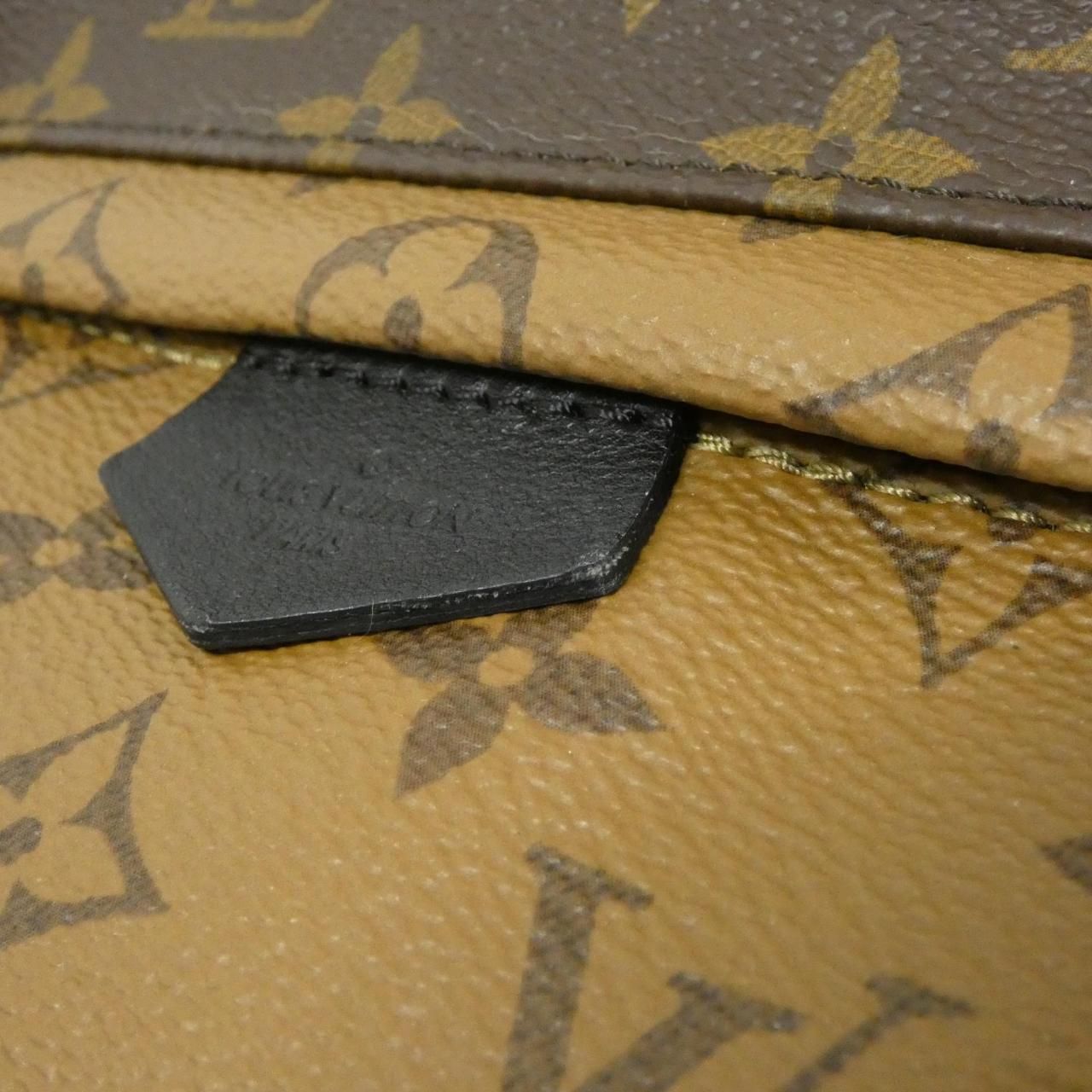Louis Vuitton Monogram Reverse Palm Springs Backpack PM — view 4