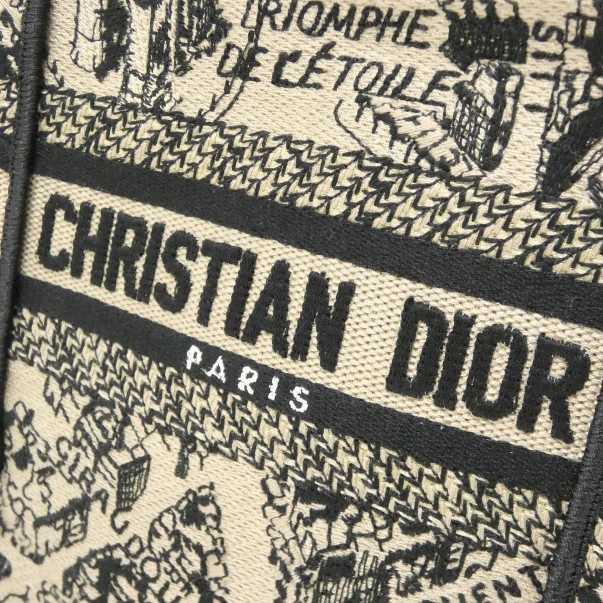 Dior Plan de Paris Book Tote Mini Vertical — view 4