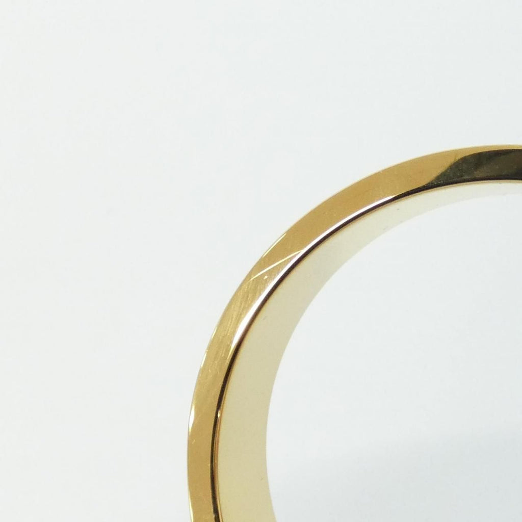 Hermes les Leopards Click Ash PM Bracelet — view 5