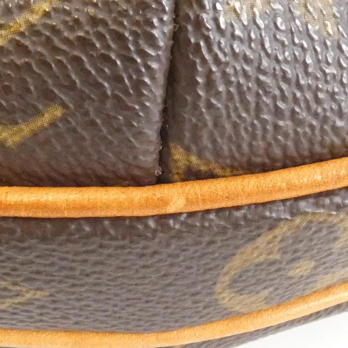 Louis Vuitton Monogram Pochette Croissant Shoulder — view 4