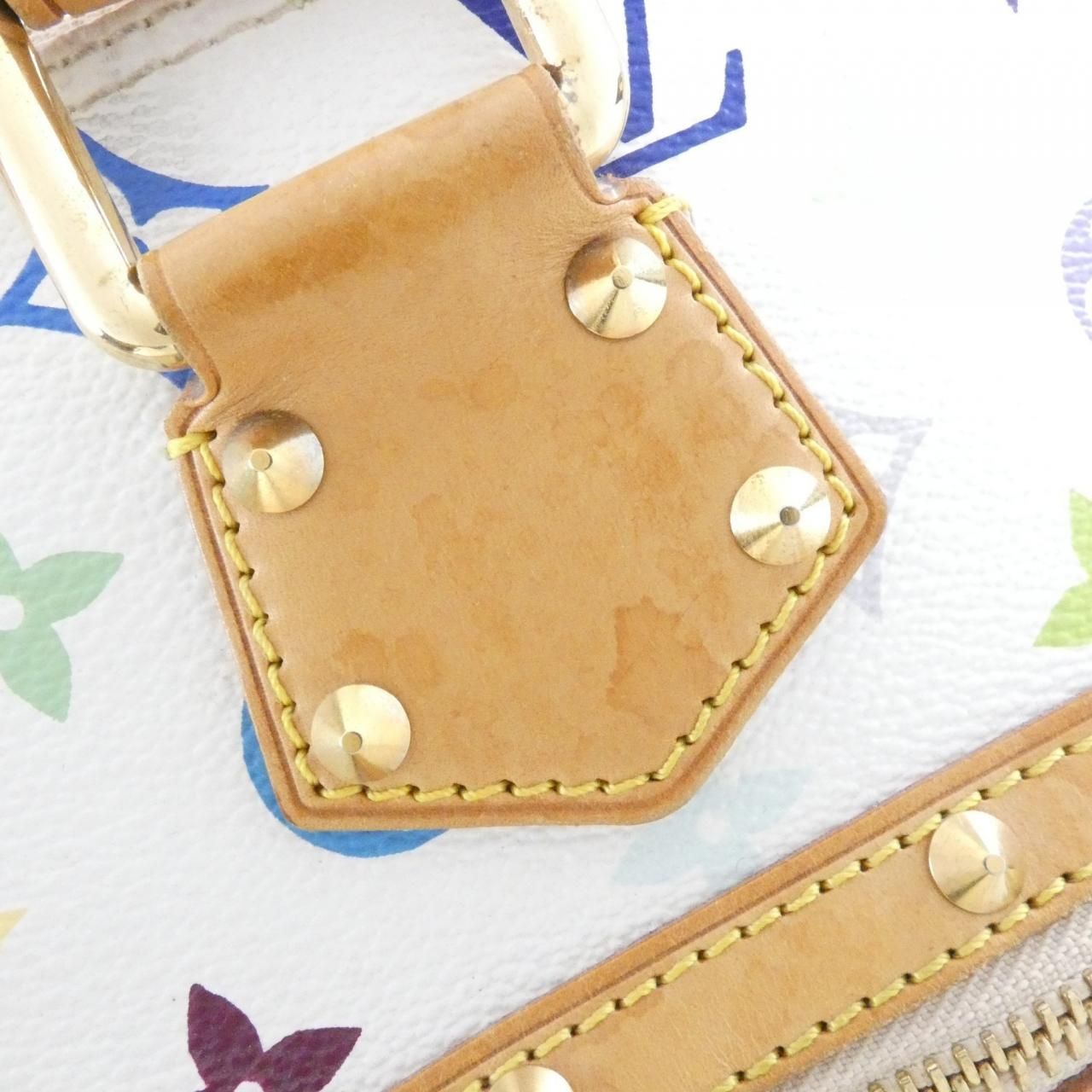 Louis Vuitton Multicolor Alma PM — view 6