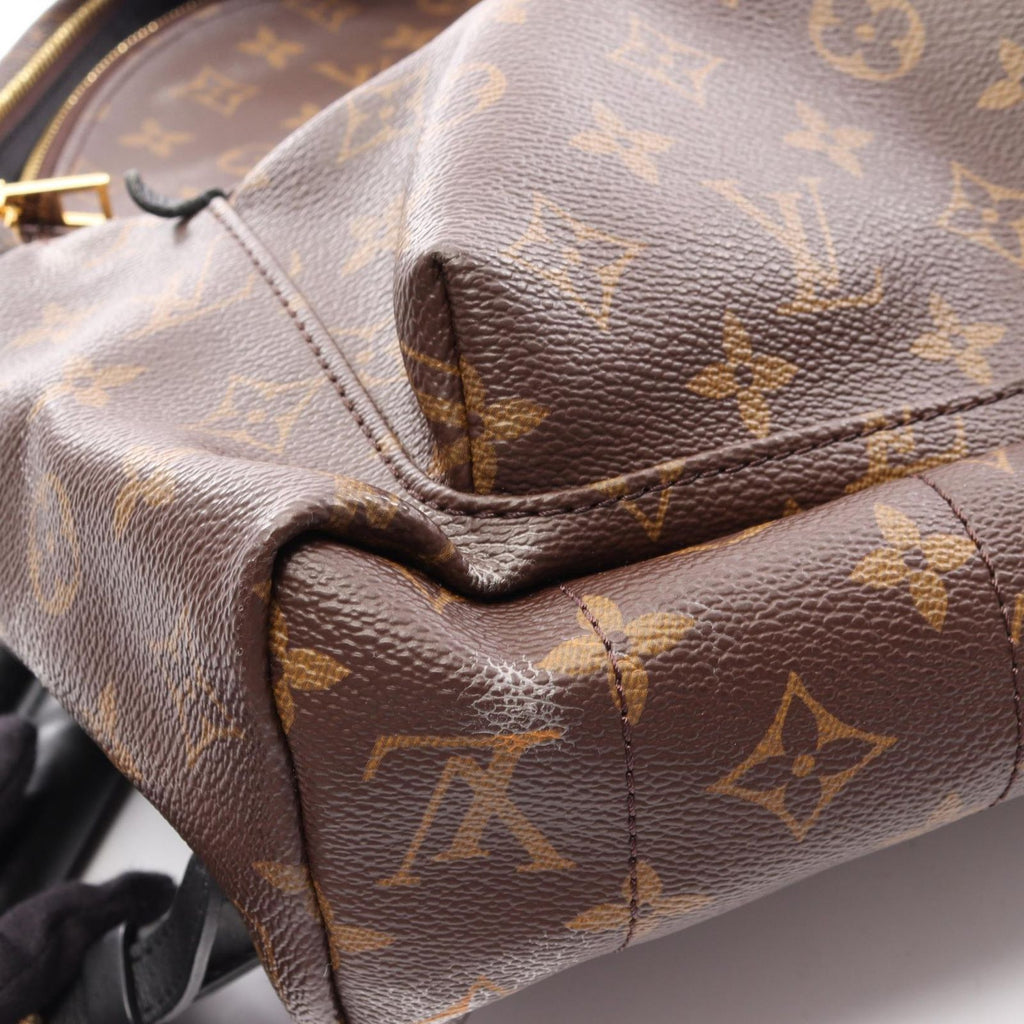 Louis Vuitton Backpack Palm Springs MM Canvas Leather — view 8