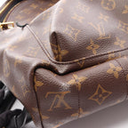 Louis Vuitton Backpack Palm Springs MM Canvas Leather — view 8