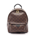 Louis Vuitton Backpack Palm Springs MM Canvas Leather