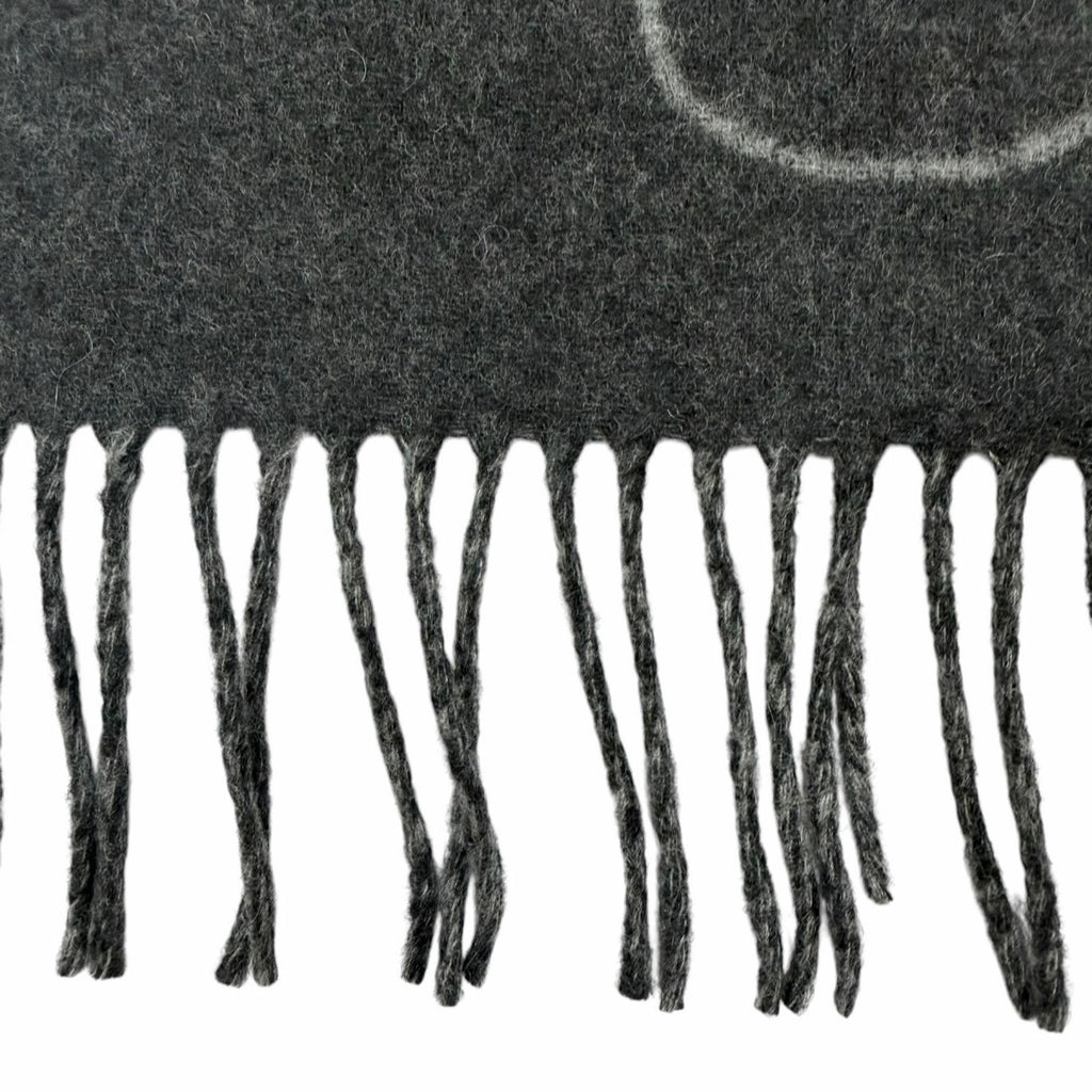 Hermes Tet a Tet Equestre Cashmere Hose Fringe Scarf Shawl Charcoal Gray — view 6