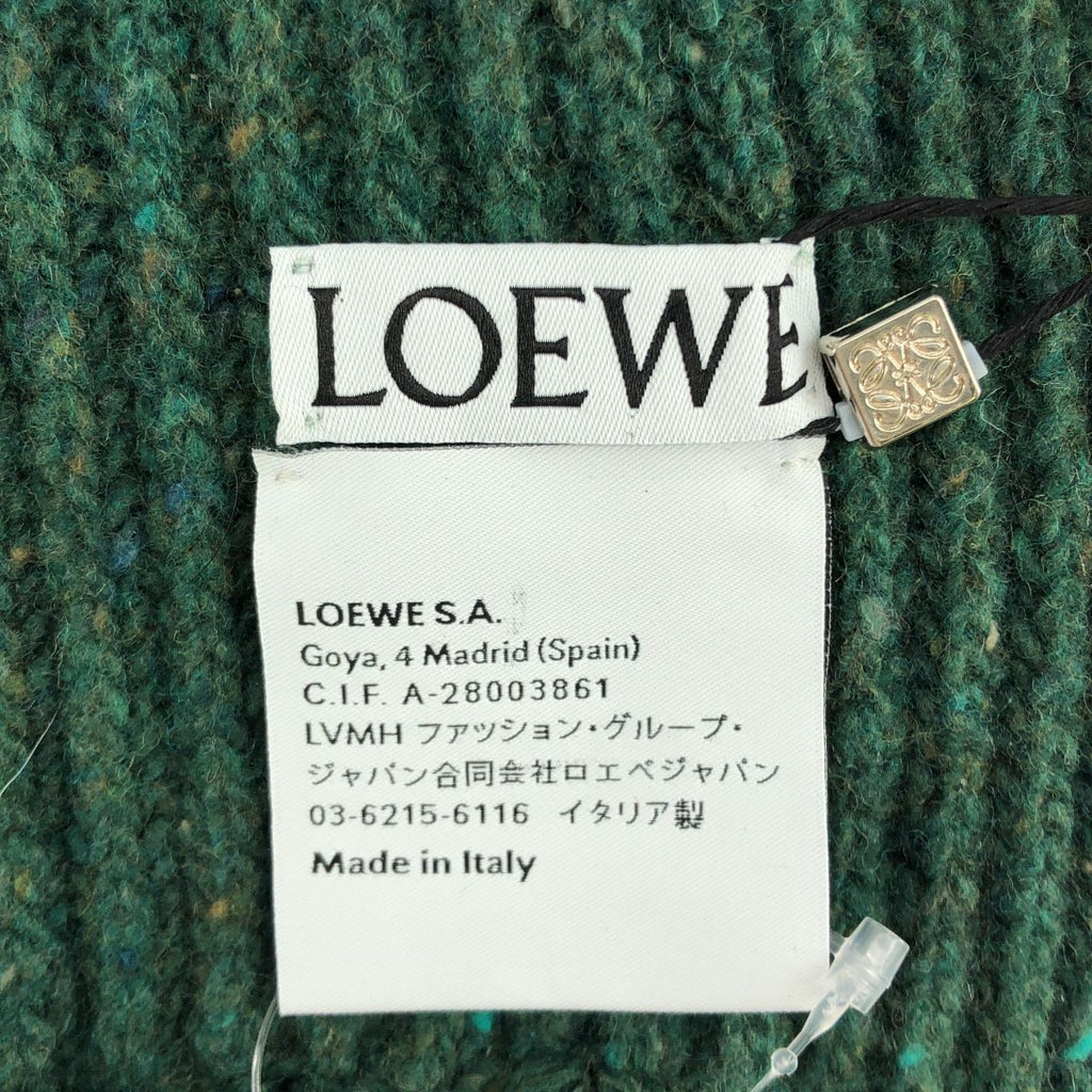 Loewe Suna Fujita Embroidered Scarf Green — view 5