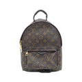 Louis Vuitton Monogram Palm Springs Backpack PM