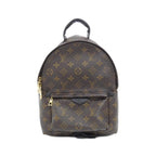 Louis Vuitton Monogram Palm Springs Backpack PM