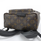 Louis Vuitton Monogram Palm Springs Backpack PM — view 3