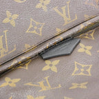 Louis Vuitton Monogram Palm Springs Backpack PM — view 4