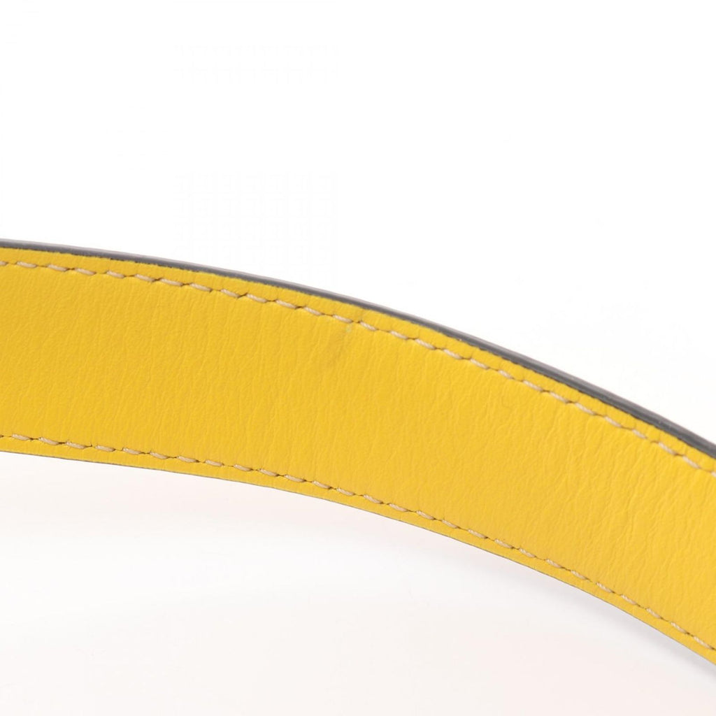 Loewe Waist Bag Gate Dual Mini Yellow Leather Shoulder — view 6