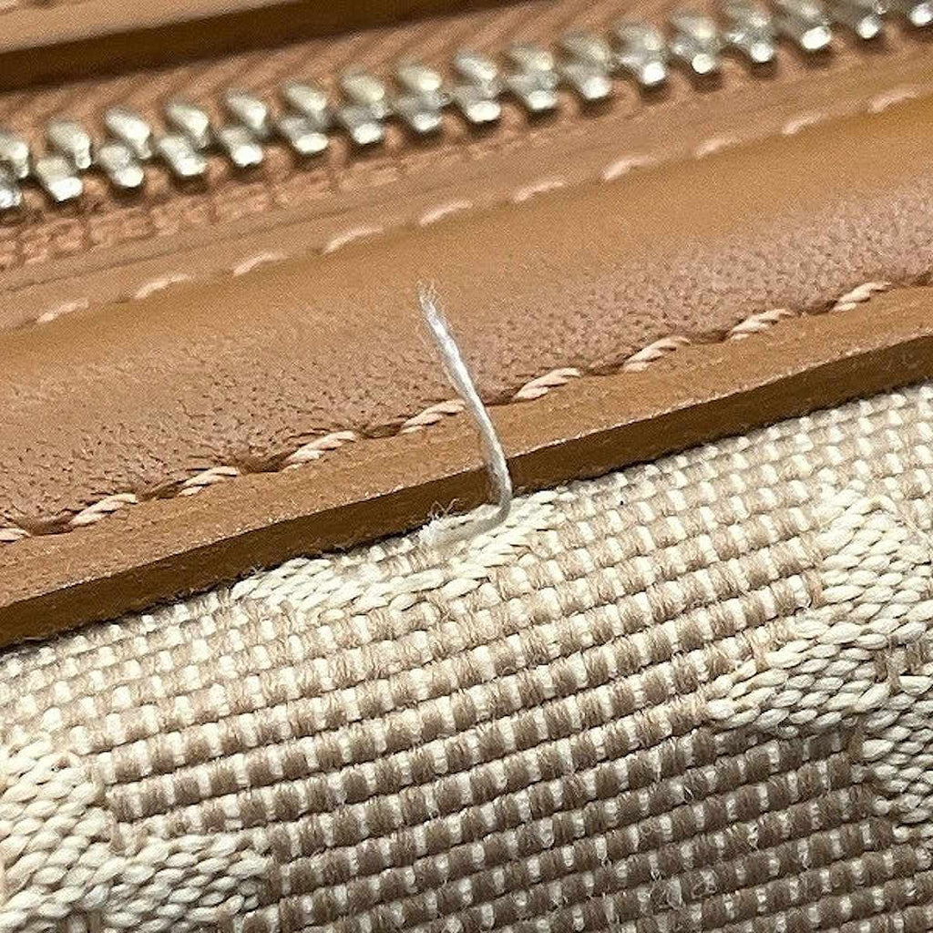 Louis Vuitton Josephine GM Monogram Mini Handbag Canvas Leather — view 8