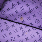 Louis Vuitton Iol Cabas PM Shoulder — view 8