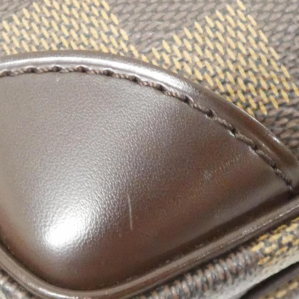 Louis Vuitton Damier Amazon Shoulder — view 6