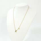 Louis Vuitton Necklace LV Iconic — view 5