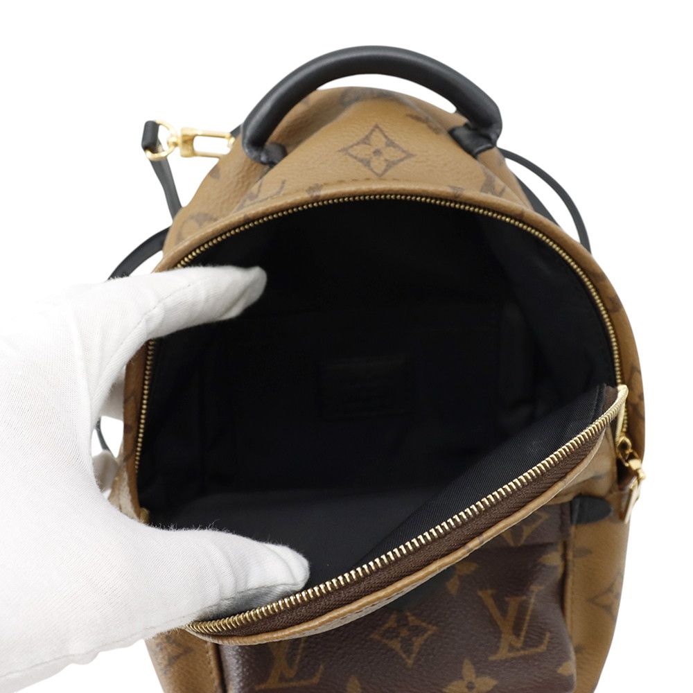 Louis Vuitton Backpack Monogram Reverse Palm Springs Mini Bag Black — view 6