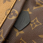 Louis Vuitton Backpack Monogram Reverse Palm Springs Mini Bag Black — view 9