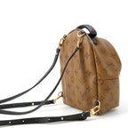Louis Vuitton Backpack Monogram Reverse Palm Springs Mini Bag Black — view 3