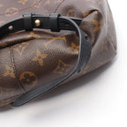 Louis Vuitton Backpack Palm Springs PM Canvas Leather — view 6
