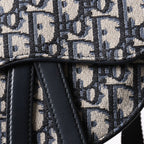 Dior Waist Pouch Saddle Bag Trotter All Over Print Cotton Canvas Gold — view 7