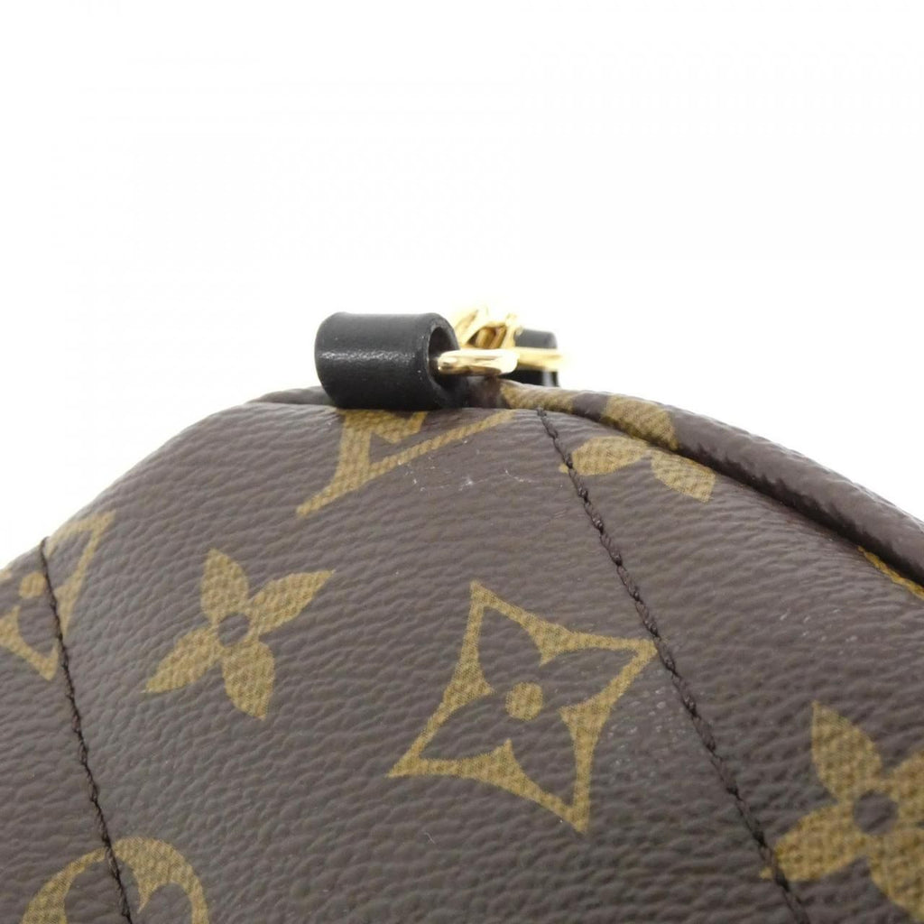 Louis Vuitton Monogram Palm Springs Backpack PM — view 4