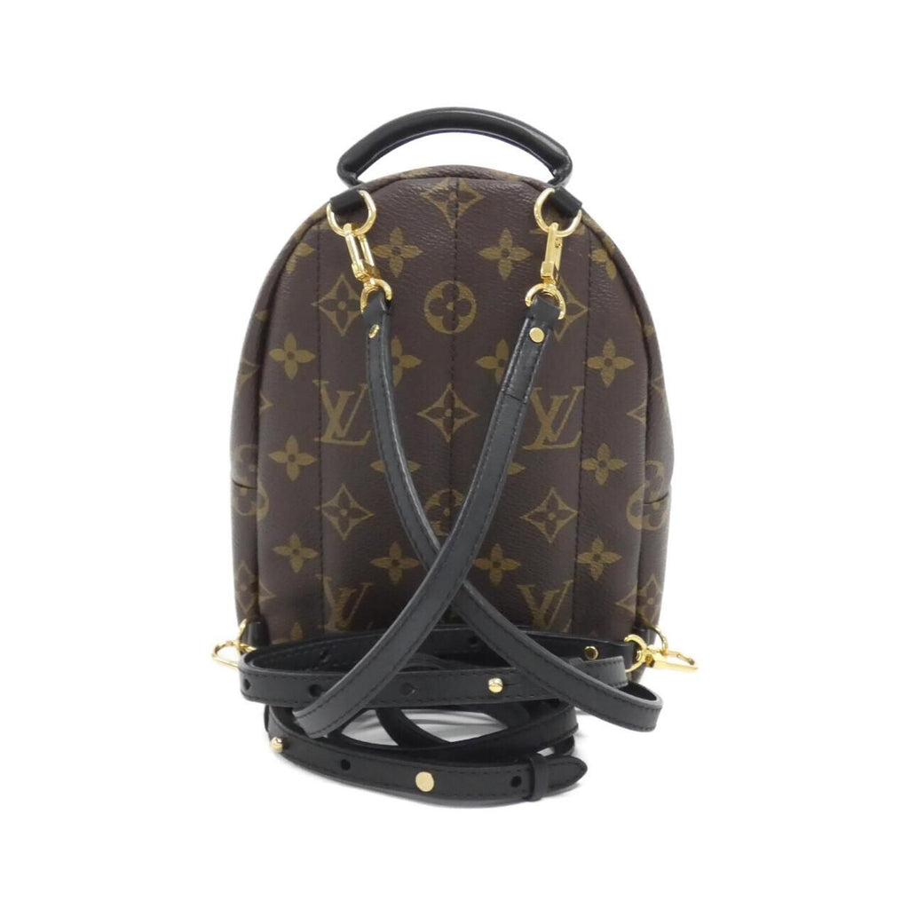 Louis Vuitton Monogram Palm Springs Backpack PM — view 2