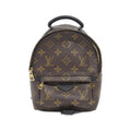 Louis Vuitton Monogram Palm Springs Backpack PM
